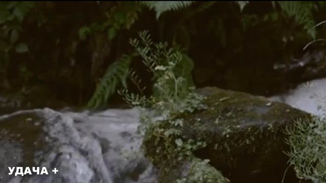 30 октября день Осия Колесника. Что нельзя делать 30 октября день Осия. Народные традиции и приметы смотреть онлайн