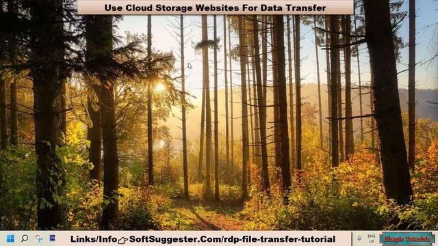 How To Copy Large Files From Remote Desktop To Local Machine? Data Transfer Between RDP And Local P смотреть онлайн