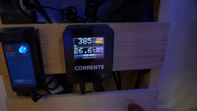 Vlog 4: Setting up the First Coral Flat смотреть онлайн