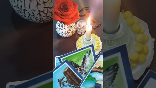 Совет Карт:Как Поступить в ситуации?Онлайн Гадание ?☄☄☄ смотреть онлайн