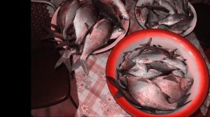 -А Я РЫБАЛОЧКУ ЛЮБЛЮ!-