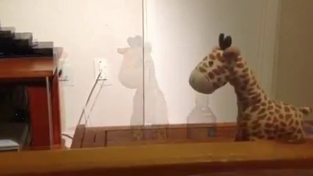 preterite stem changing verbs noah lopez смотреть онлайн