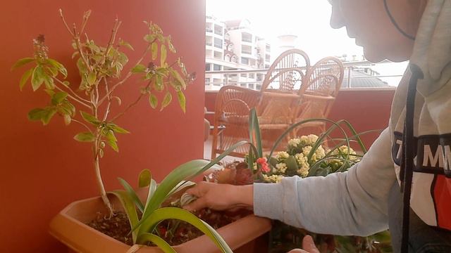 2 часть .Наш большой балкон зимой . 2 bölüm Kış balkonumuzda. смотреть онлайн