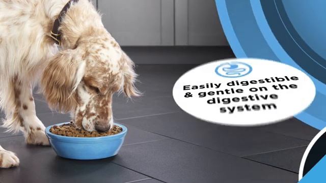 Purina Pro Plan Dry Dog - FOCUS - Sensitive Skin & Stomach | PuppySimply смотреть онлайн