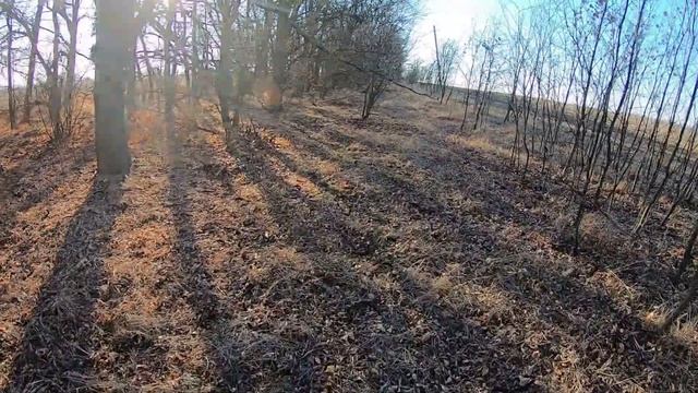 Охота на зайца в Краснодарском крае 2019\\Охота на зайца осенью\\Охота на Кубани 2019 18+ смотреть онлайн