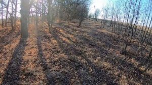 Охота на зайца в Краснодарском крае 2019\\Охота на зайца осенью\\Охота на Кубани 2019 18+