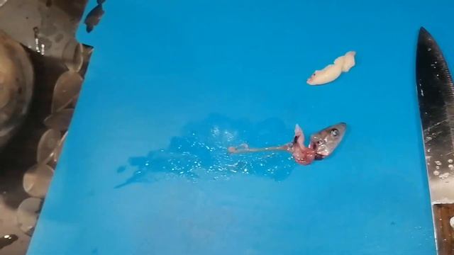 лучший способ чистить корюшку | как почистить корюшку смотреть онлайн