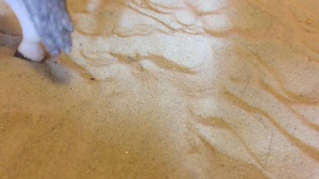 Типы Всадников || смотреть онлайн