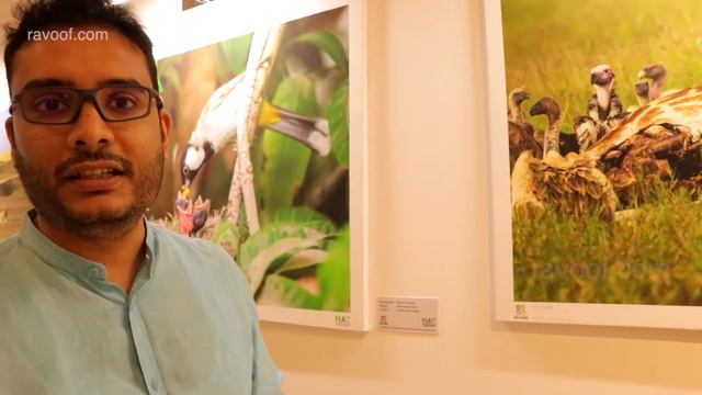 Wildlife Conservation Through Photography - Wild Visions - Nature Art Trails, Dubai