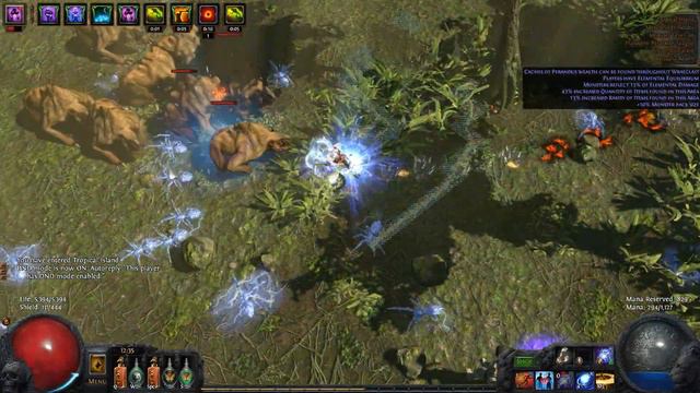 Path of Exile: Perandus Coin Farming Guide - Best Zones & Theories on Mechanics [Perandus League] смотреть онлайн
