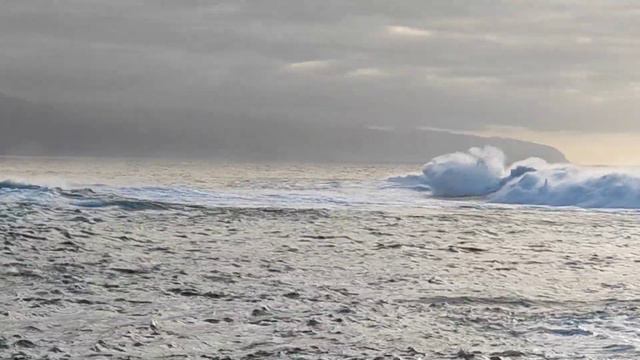 Марина Цветаева. "Кто создан из камня"... смотреть онлайн