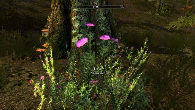 TESV 2018 06 17 12 50 42 12 смотреть онлайн