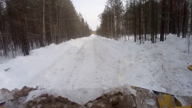 На Яндекс Дзен новое видео смотреть онлайн