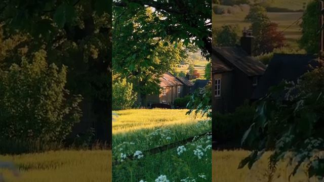 Леса и поля