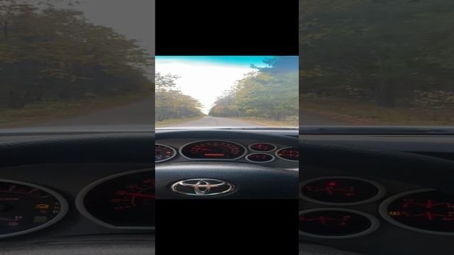 Авто пробег