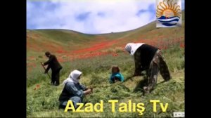 Talis seyirleri. 1..mp4