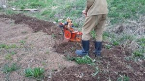 Культиватор КМП-600 «Гном» на базе бензопилы «Дружба». Весенняя вспашка.