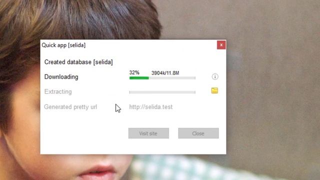 Εγκατάσταση WordPress στα Windows με Laragon ? смотреть онлайн