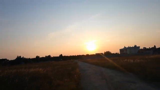 Какие-то куропатки и перепёлки бегут навстречу Солнцу! 😁😁😁