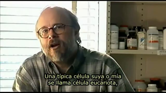 Amazing Evidence Against Evolution! смотреть онлайн