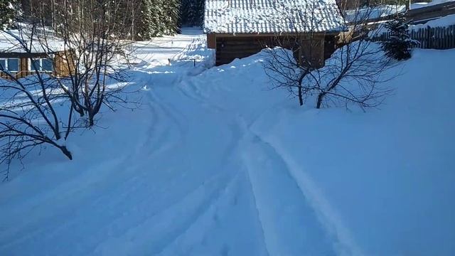 Дача в Сибири.(без комментариев) смотреть онлайн