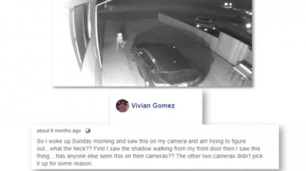 10 Mysterious Creatures Caught on Camera