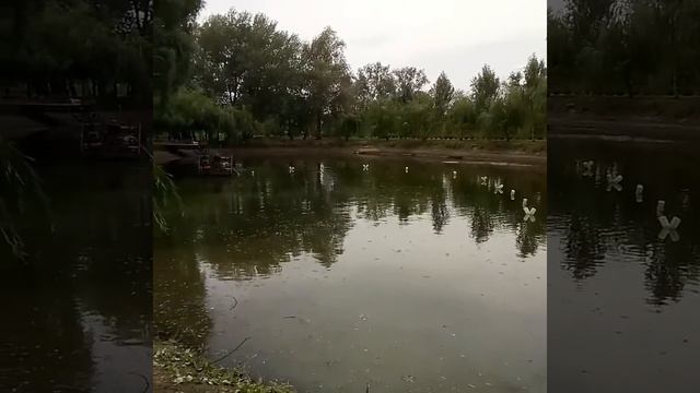 Очистка от ила и углубление дна озера. Июль 2019 смотреть онлайн