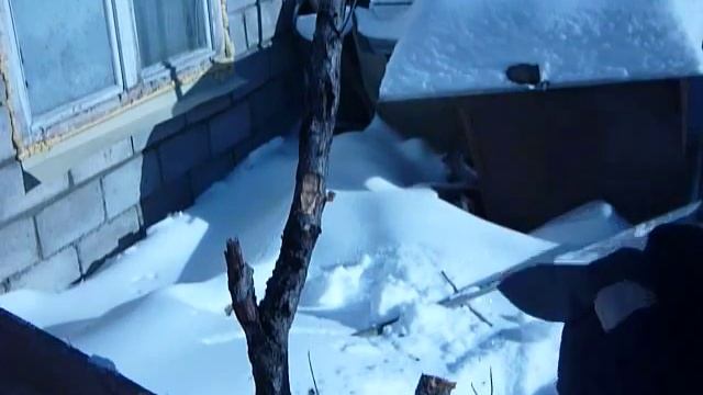 тесак по размерам Григория Соколова смотреть онлайн