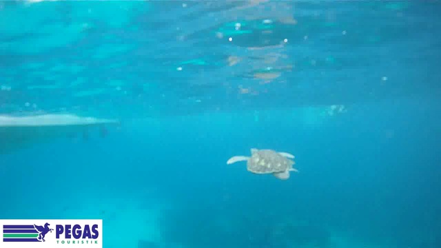 Таиланд 18 смотреть онлайн