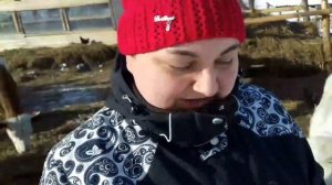 Накипело......разговор о плотности и жирности молока.