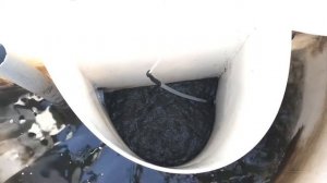 Серьезный недостаток Евробион раунд 5, самотек.