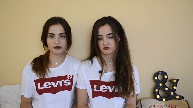 ПЛЮСЫ И МИНУСЫ БЛИЗНЕЦОВ l Twins смотреть онлайн