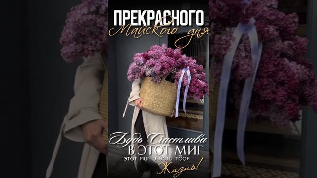 Воскресенье смотреть онлайн
