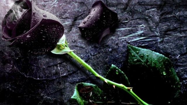 Алексей Мандельштам - Ты опоздала (Белая птица)