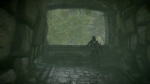 SHADOW OF THE COLOSSUS уровень 4 колос прохождение