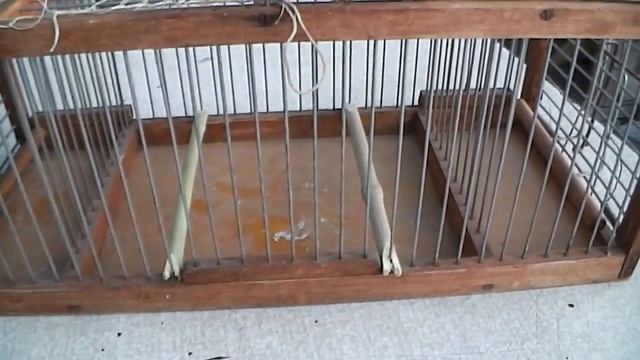 Западёнка с верхним расположением хлопка. смотреть онлайн