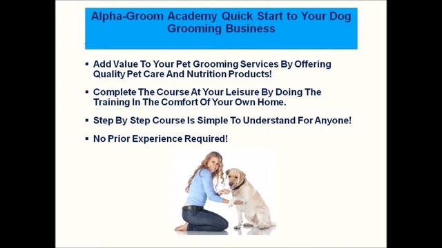 Online Dog Grooming Schools Review смотреть онлайн