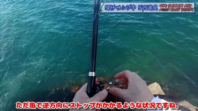 過去最大級の東伊豆モンスターに仕掛けを全部奪われて茫然自失【東伊豆・グレ釣り】 смотреть онлайн