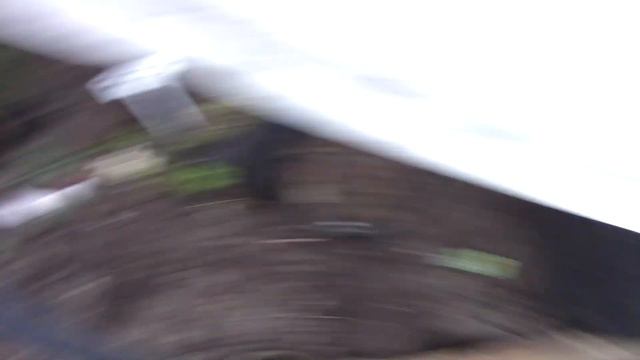 Это зима?Как зимует крупнолистная гортензия.Как называется мох? смотреть онлайн