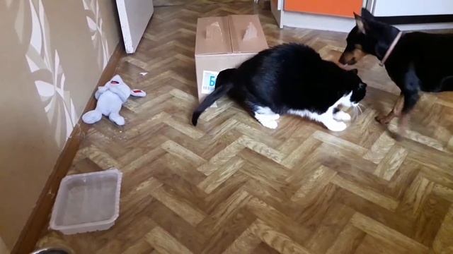 Кошкин дом смотреть онлайн