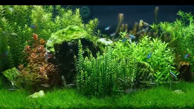 Расслабляющая музыки для сна, снятия стресса, от бессонницы, для медитации и расслабления! смотреть онлайн