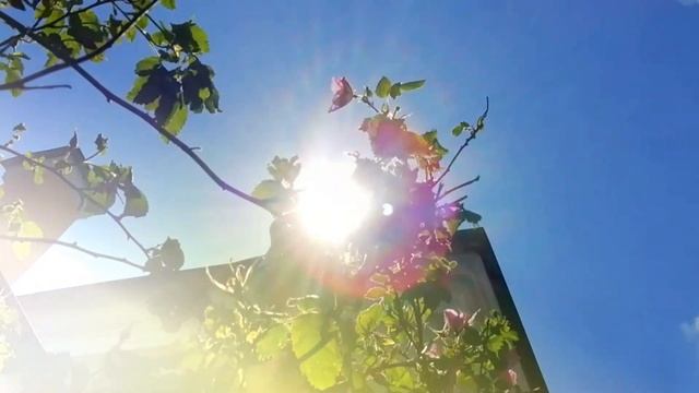 #VLOG#ПРОГУЛКА В МИР ХОРОШЕГО НАСТРОЕНИЯ #ЦАРСКОЕ#ДОМ КАРАМЗИНА#ИСТОРИЯ И ЧУВСТВА#ЛЮБОВЬ И ГОЛУБИ.. смотреть онлайн