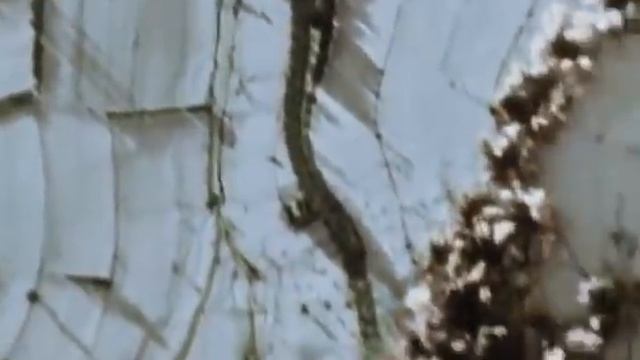 Documentaire 2022 La Chute du Reich seconde guerre mondial 39/45 смотреть онлайн
