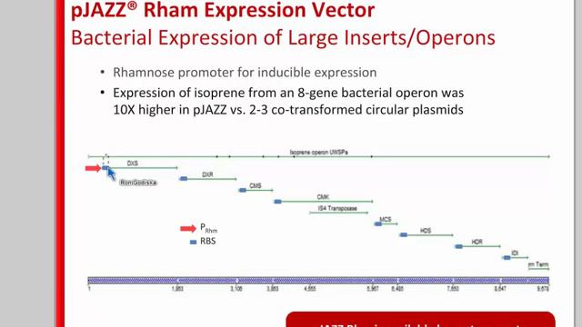 Webinar: Clone the Unclonable - Vectors and Cells to Capture & Express Problematic DNAs смотреть онлайн