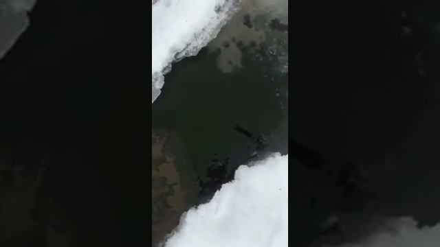 мормышки и блесна Стукалки на ленка, гольца и форель,микижу смотреть онлайн