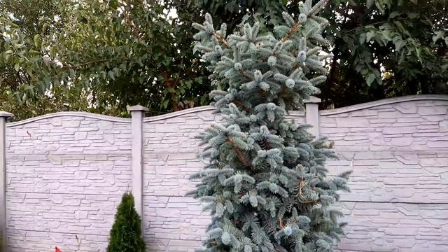 Решили сделать умывальник на улице смотреть онлайн