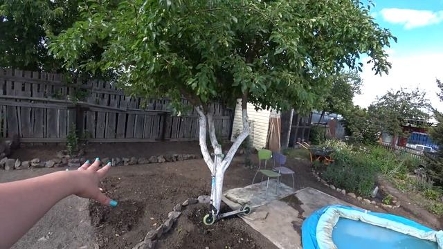 ИЗВИНИТЕ НО не смогла ПРОМОЛЧАТЬ/Вечер на ДАЧЕ/Вкусный ужин/Переделываем ЦВЕТНИК/НУЖЕН ВАШ СОВЕТ смотреть онлайн