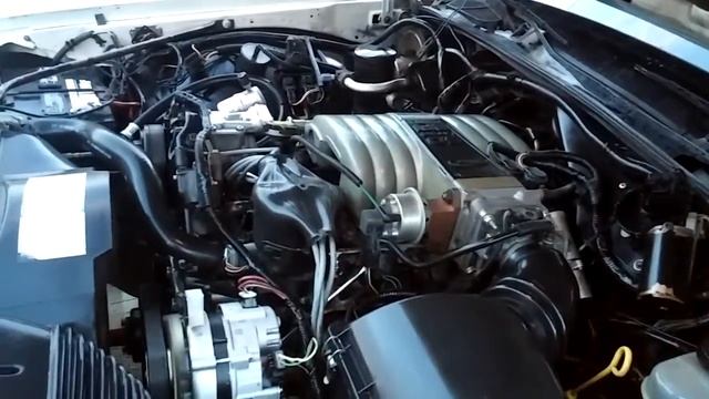 5.0 in 89 ford crown victoria station wagon смотреть онлайн