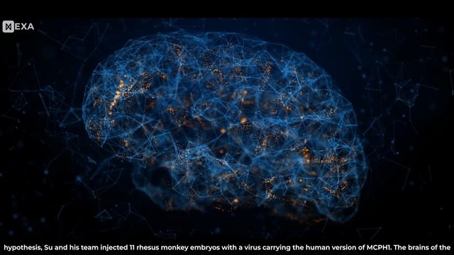 Artificial Super Intelligence: Should We Be Worried? смотреть онлайн