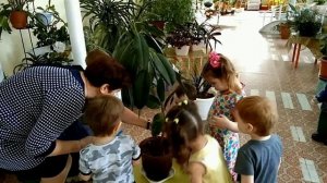 Уход за комнатными растениями 2 младшая группа